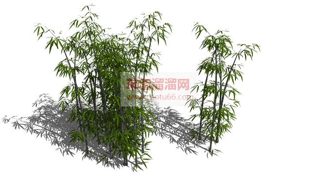竹林竹子竹叶SU模型