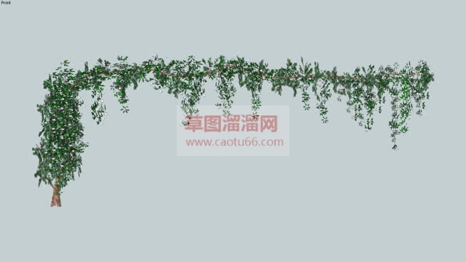 蔓藤爬藤植物SU模型