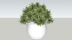 花盆植物SU模型