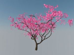 桃花树免费SU模型