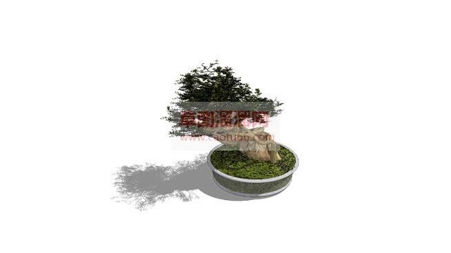 怎么画室内盆SU模型