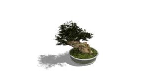 怎么画室内盆SU模型 免费sketchup模型下载