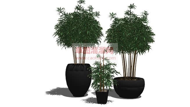 盆景小竹植物SU模型