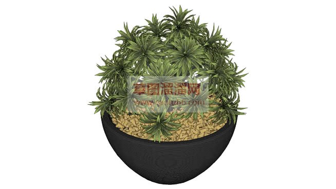 瓦盆栽植物的SU模型