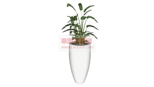 白色花盆盆栽SU模型