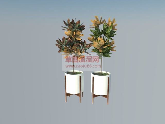 花盆植物盆景SU模型