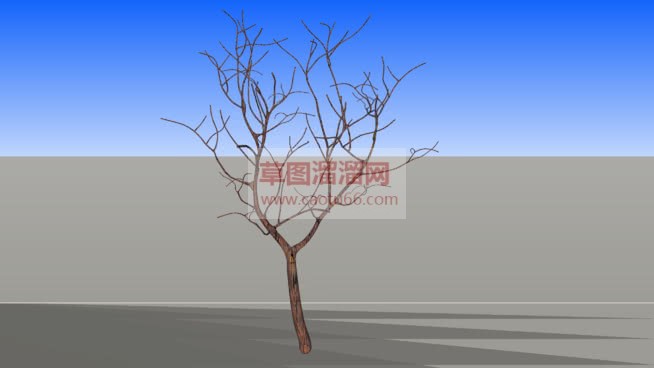 冬天的枯树免SU模型