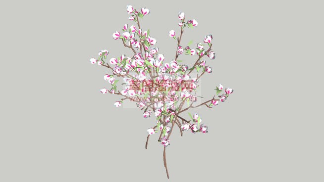 桃花桃树SkSU模型