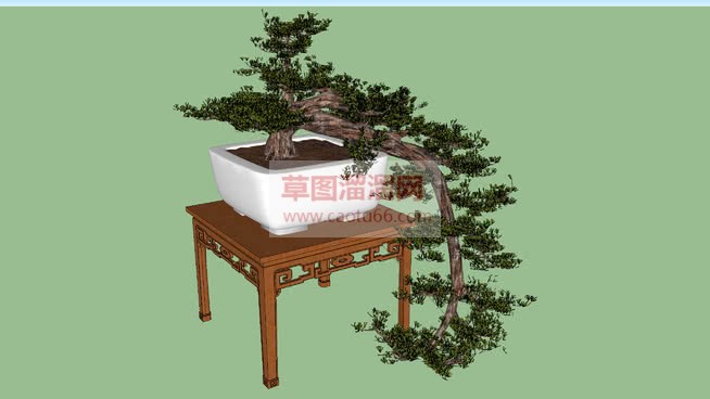 中式迎客松盆SU模型