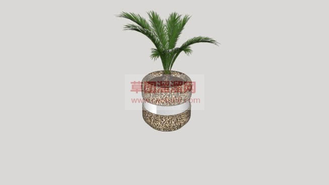花盆盆栽铁树SU模型