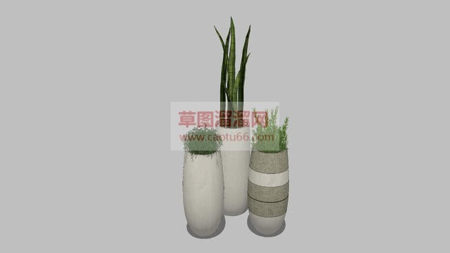 细花瓶花盆植SU模型