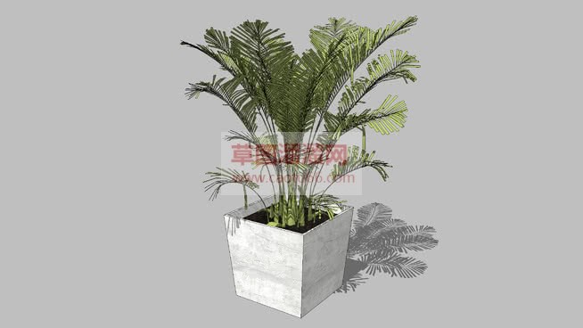 A花盆盆栽的SU模型