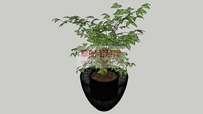 通风的花盆盆SU模型