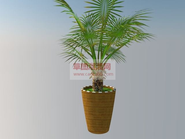 盆景植物花盆SU模型