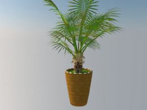 盆景植物花盆SU模型 免费sketchup模型下载