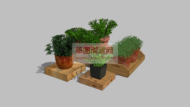 几个花盆植物SU模型