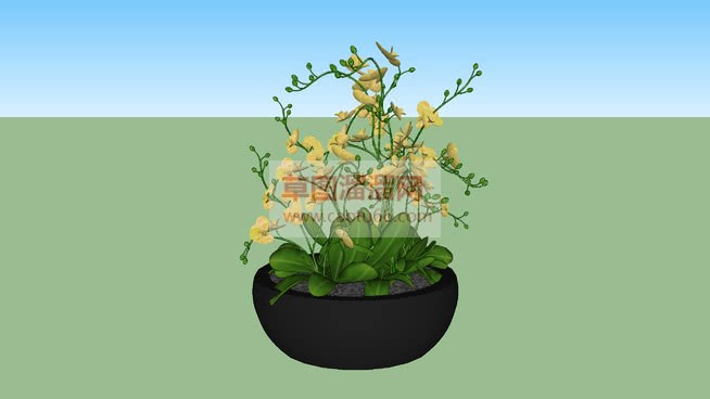 花盆盆栽盆景SU模型