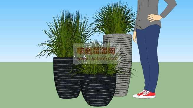 景观花盆植物SU模型