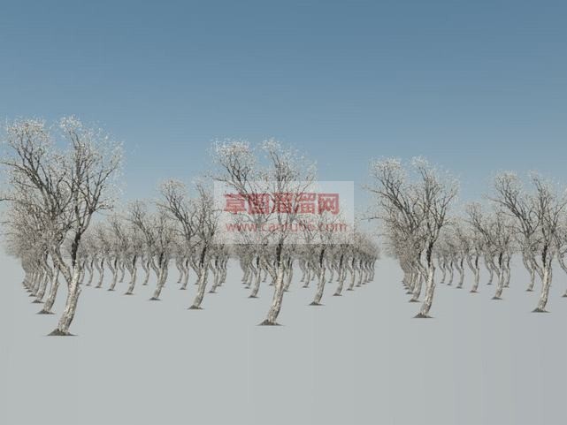 里怎么弄二维SU模型