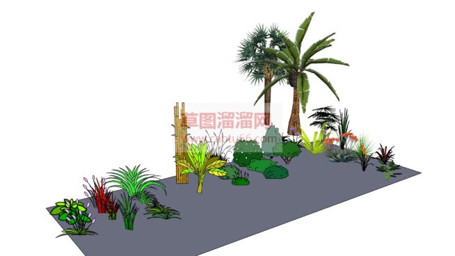 溜溜网灌木植SU模型