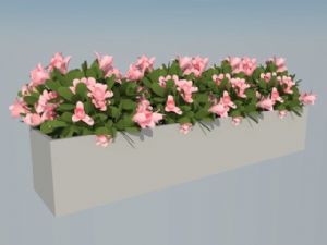 花圃花朵完全SU模型