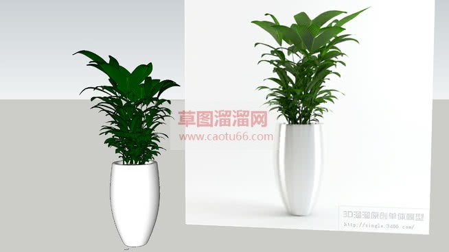 白色花盆花瓶SU模型