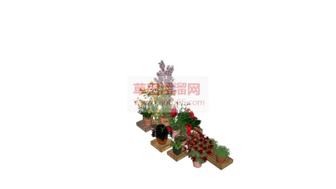 花盆植物SU模型