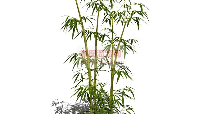 竹子堆免费网SU模型