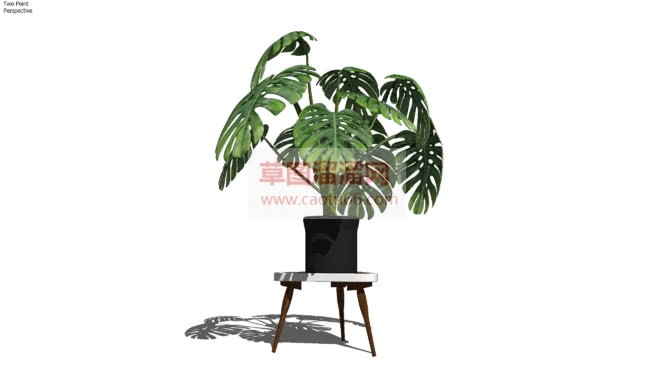 龟背竹花盆SU模型