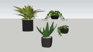 植物花盆盆栽SU模型