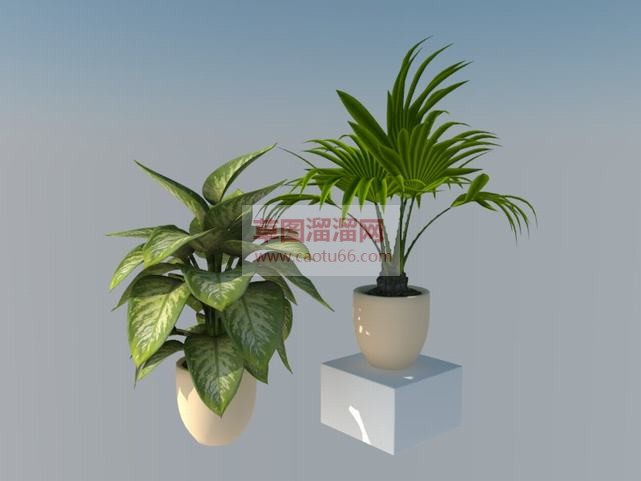 花盆盆栽植物SU模型