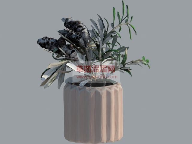 花盆植物免费SU模型