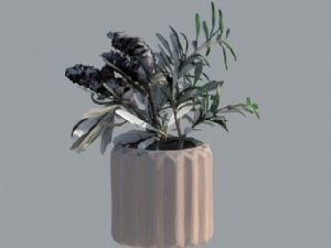 花盆植物免费SU模型