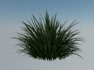 丛草小草杂草SU模型