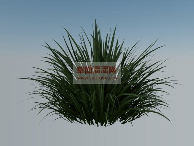 丛草小草杂草SU模型