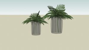 玻璃花瓶植物SU模型
