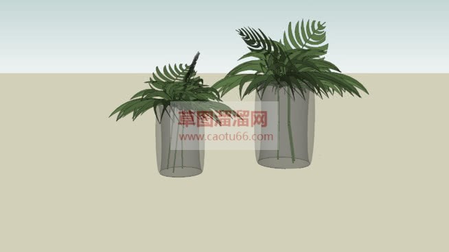 玻璃花瓶植物SU模型