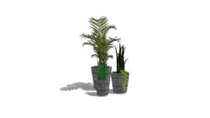 植物花盆SU模型