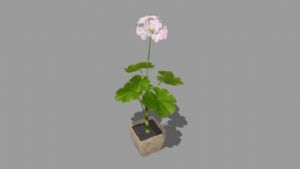 花盆植SU模型