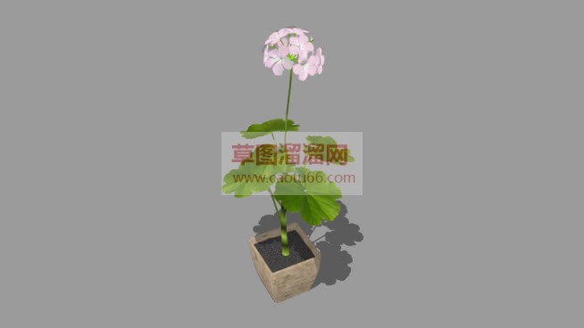 花盆植SU模型