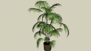 盆栽植物免费SU模型