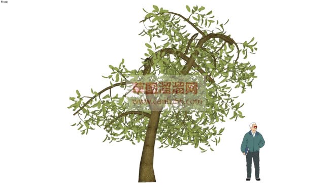 如何用画3DSU模型