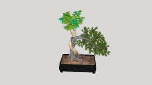 迎客松盆栽植SU模型