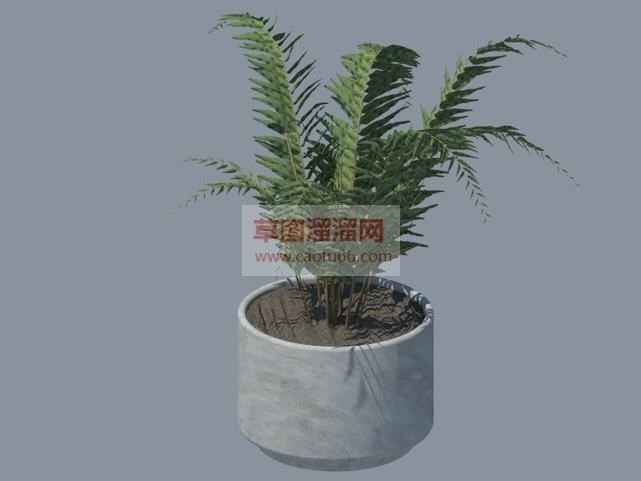 盆栽花盆植物SU模型