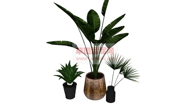 花盆植物盆栽SU模型