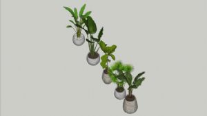 圆形花盆植物SU模型