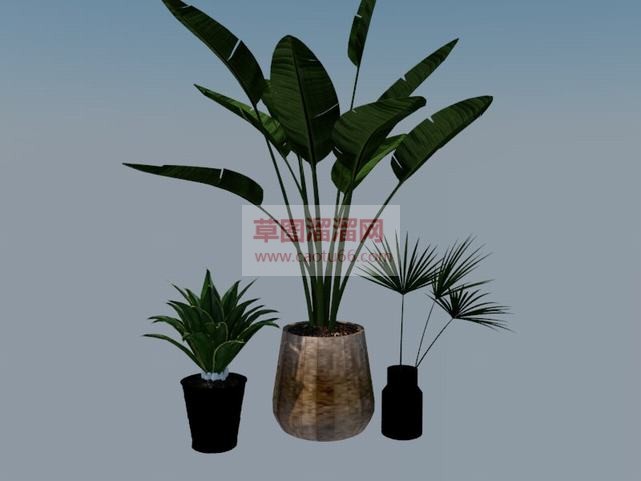 花瓶花SU模型