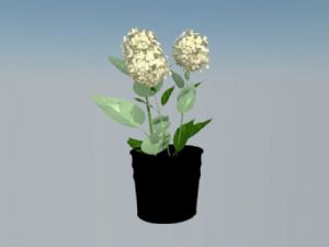 花盆盆SU模型