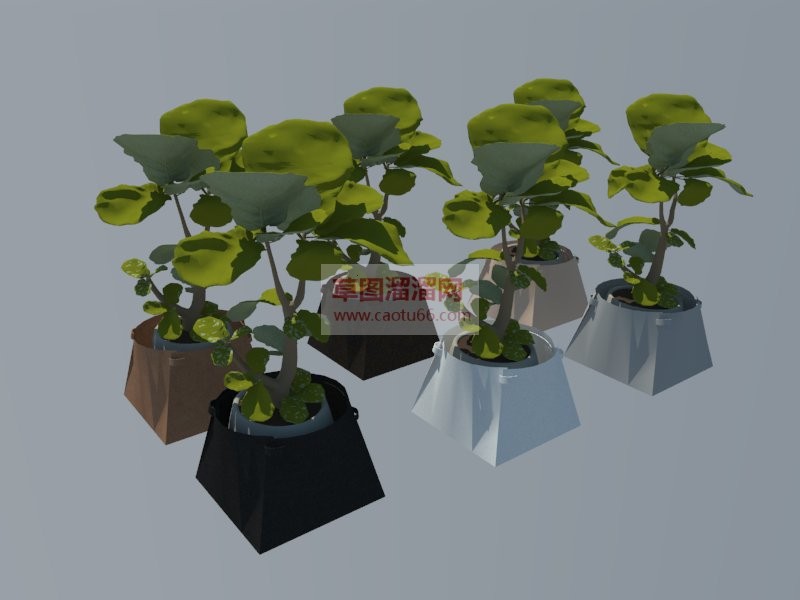 植物盆栽花盆SU模型