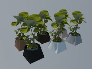 植物盆栽花盆SU模型